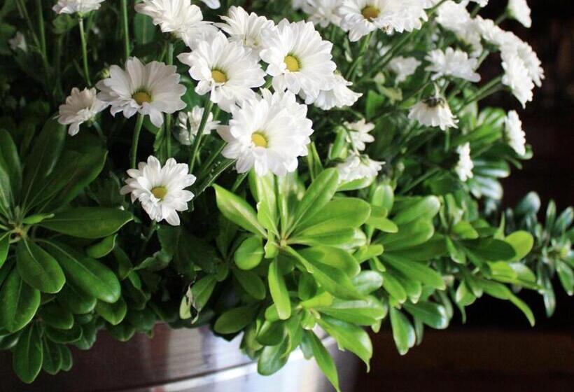 ホテル La Primula