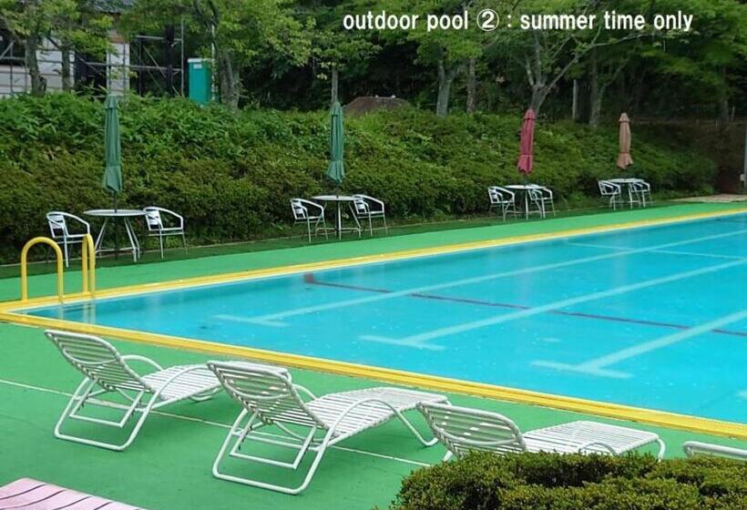 Отель Manten No Tsujinoya