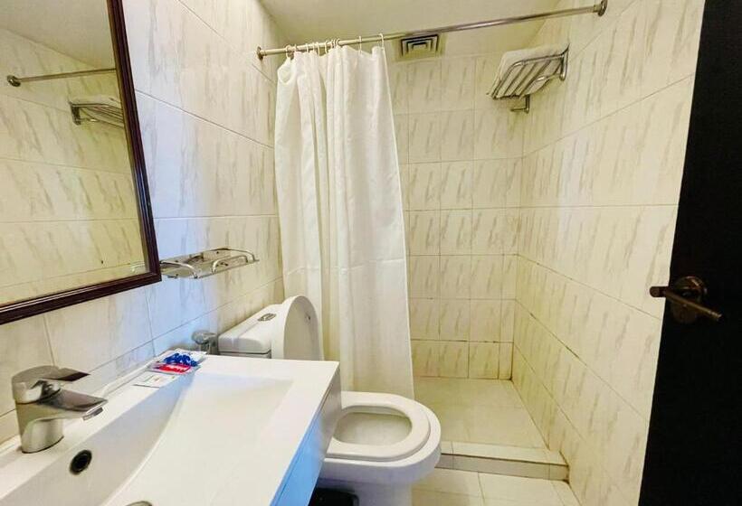 هتل Orchid Business