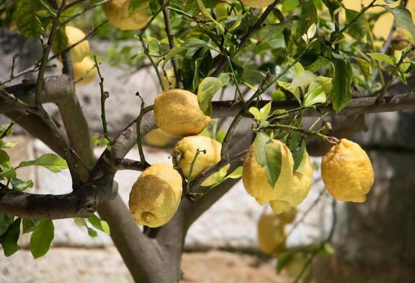 فندق Palazzo Castriota