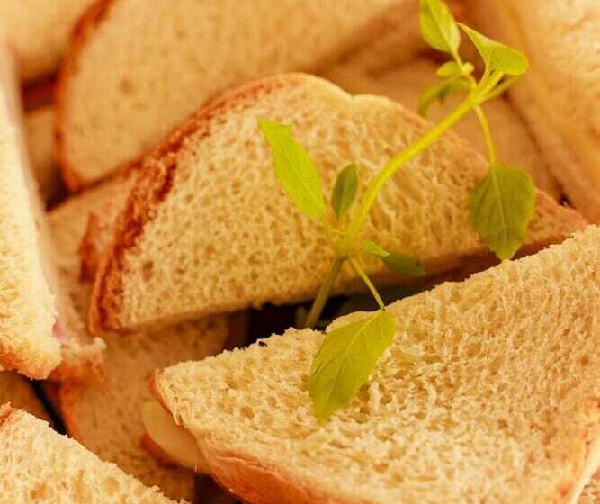 ホテル Pousada Paraiso Noronha