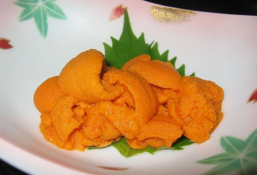 فندق Rishiri Marine