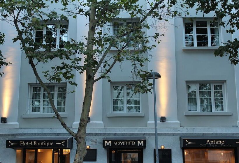 酒店 Sommelier Boutique