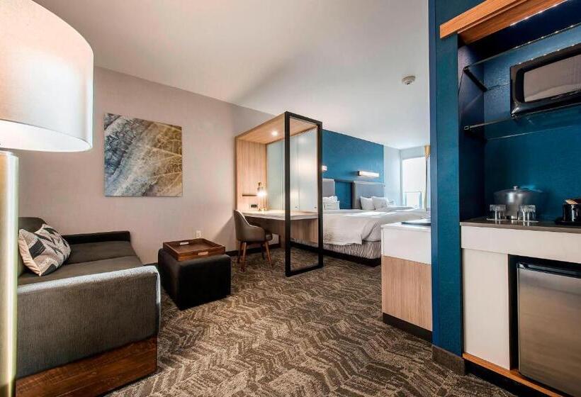 Отель Springhill Suites By Marriott Gallup