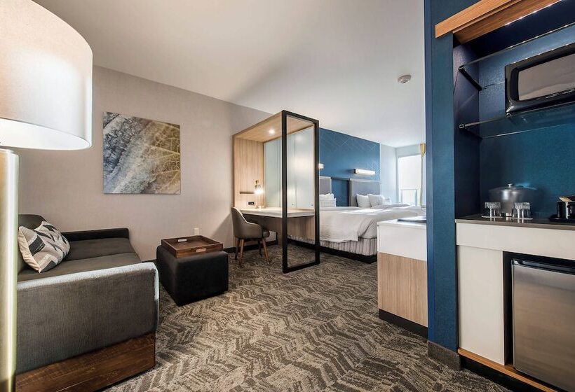 Отель Springhill Suites By Marriott Gallup