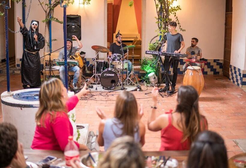 هتل Viajero Colonia Hostel