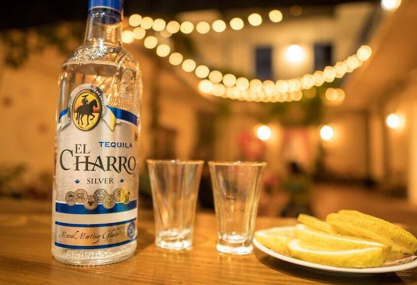 هتل Viajero Colonia Hostel