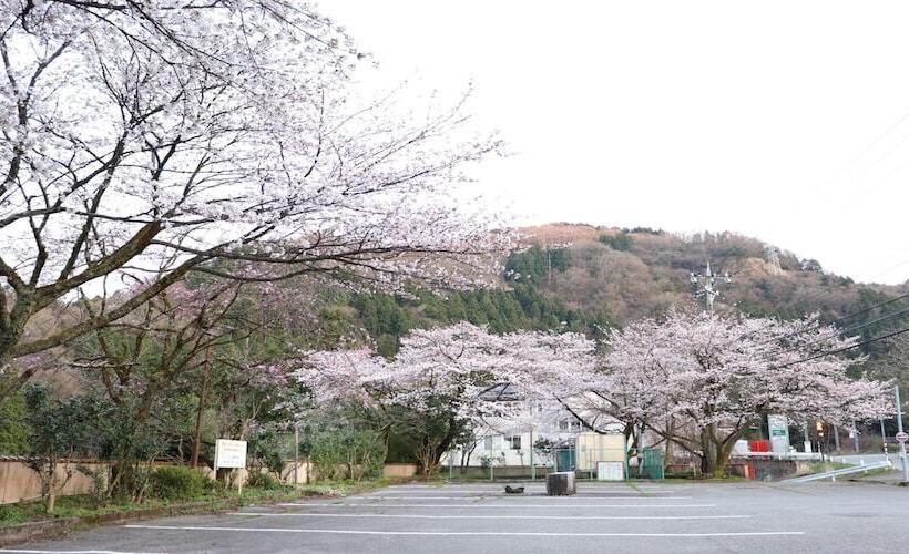 Отель Yamanaka Onsen Hanatsubaki