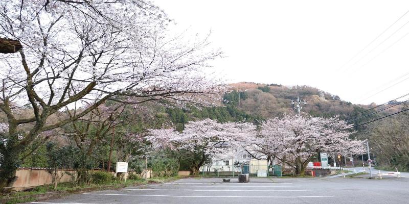 Отель Yamanaka Onsen Hanatsubaki