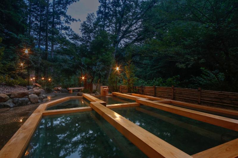 Отель Yamanaka Onsen Hanatsubaki