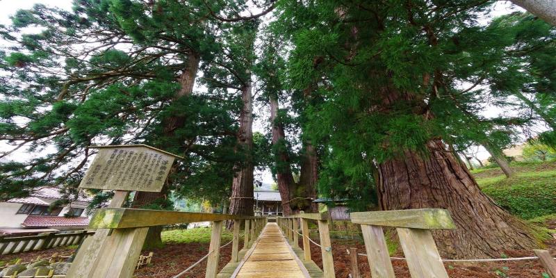 Отель Yamanaka Onsen Hanatsubaki