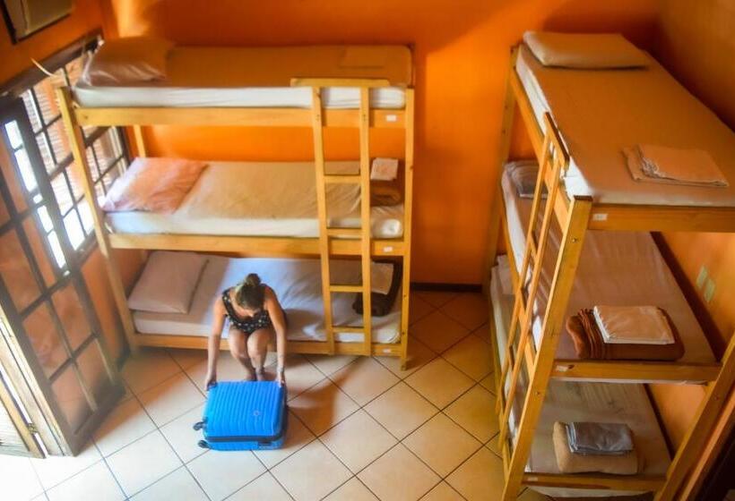 Leo S Clan Beach Hostel