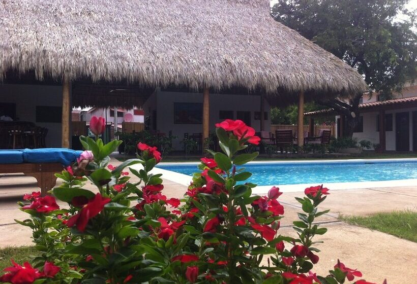 Machele  S Place Beachside Hotel & Pool