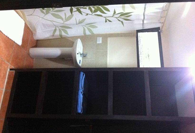 Machele  S Place Beachside Hotel & Pool