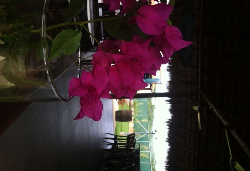 Machele  S Place Beachside Hotel & Pool