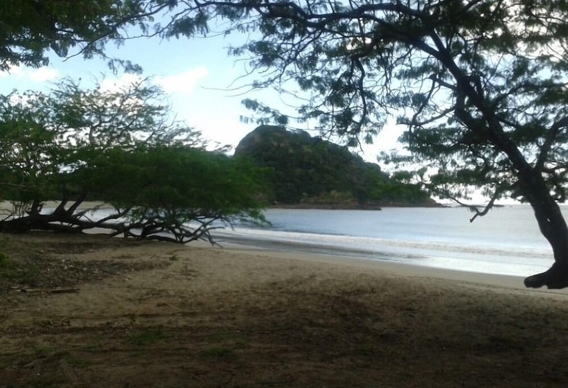 Machele  S Place Beachside Hotel & Pool