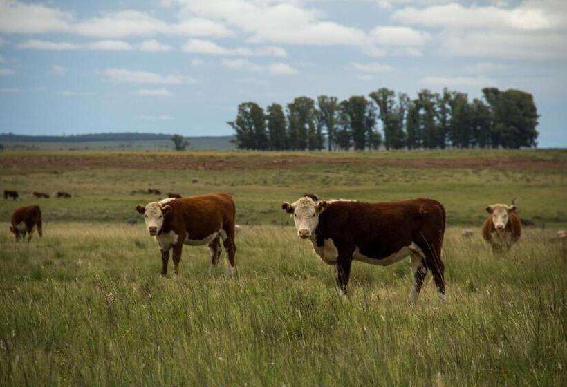 Salinas Del Almiron Resort Termal