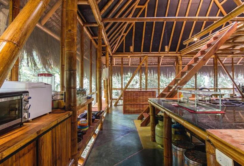 Universo Pol Bamboo Hostel