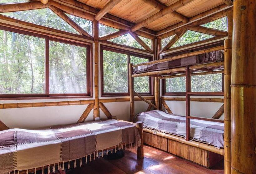 Universo Pol Bamboo Hostel