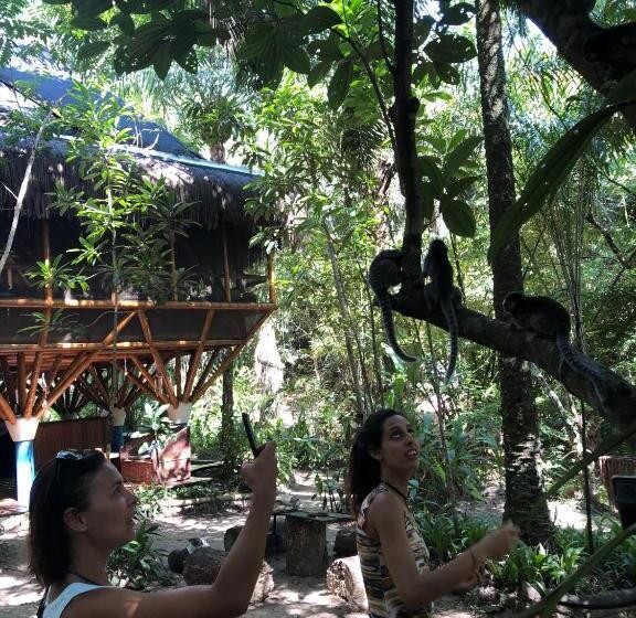 Universo Pol Bamboo Hostel