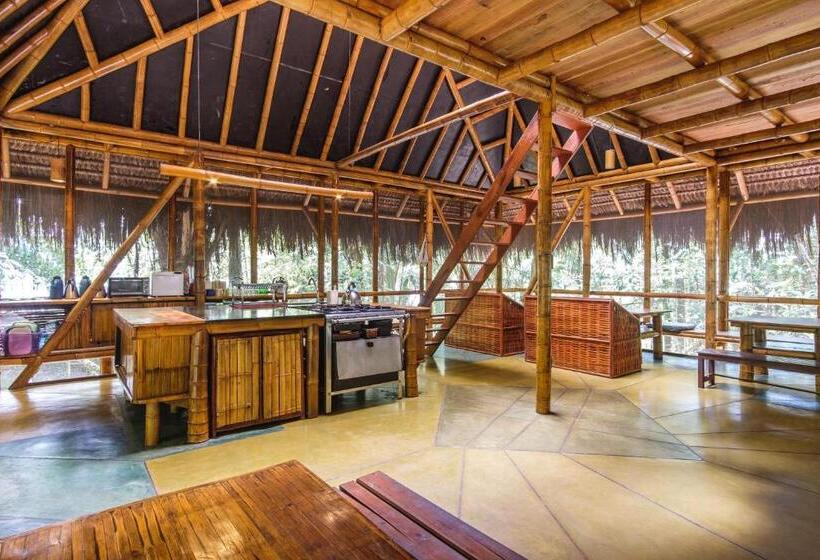 Universo Pol Bamboo Hostel