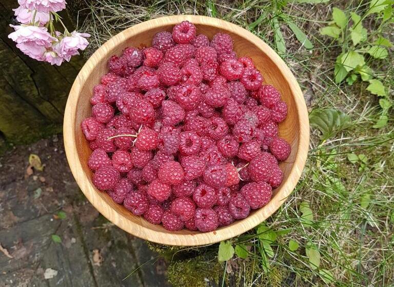 مبيت وإفطار Chambres D Hôtes Les Ifs