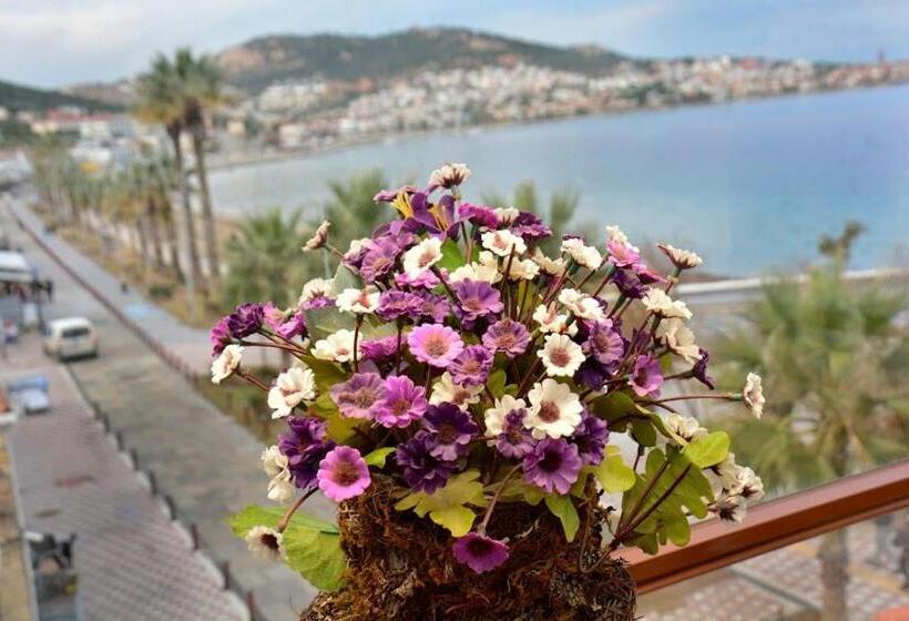 住宿加早餐  Focamor Otel