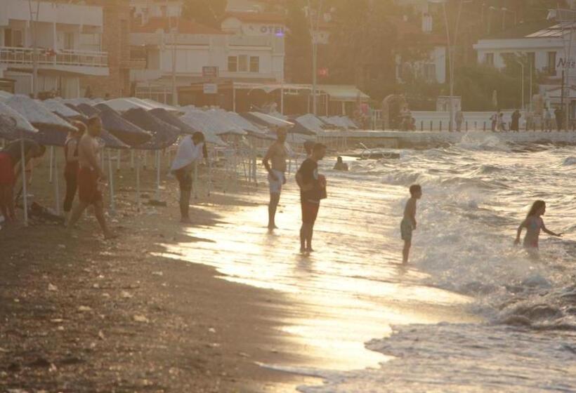 住宿加早餐  Focamor Otel