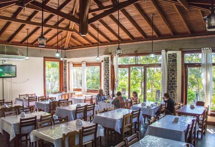 Candeias Hotel Gold Fish