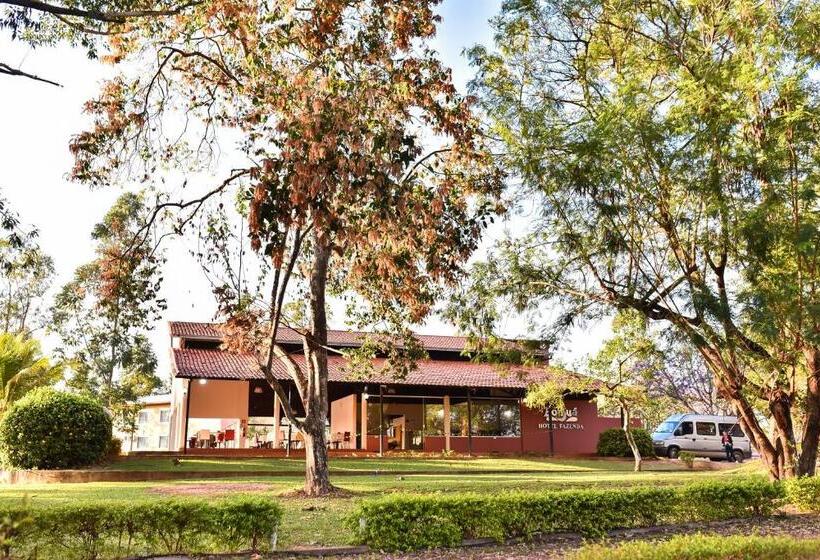Отель Fazenda Bonjuá