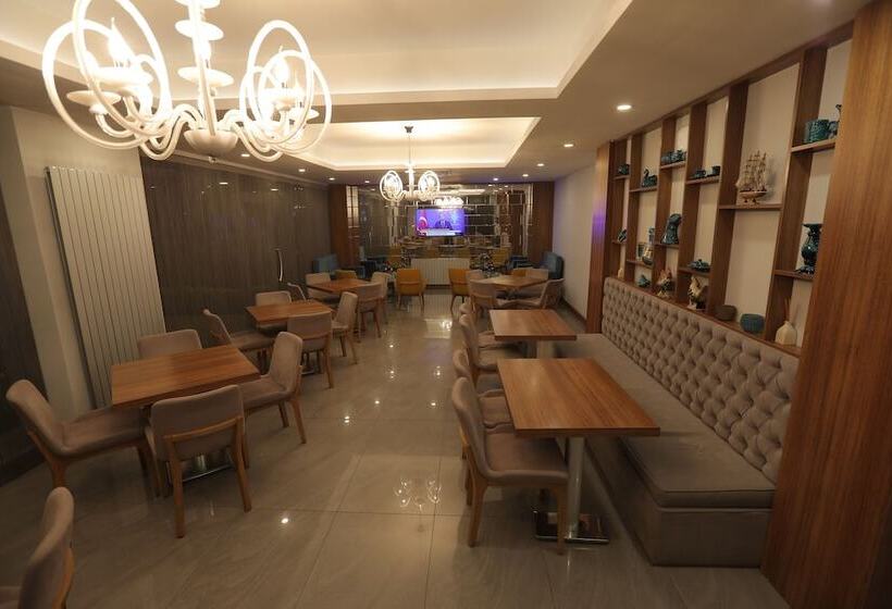 בית מלון כפרי Business Palas