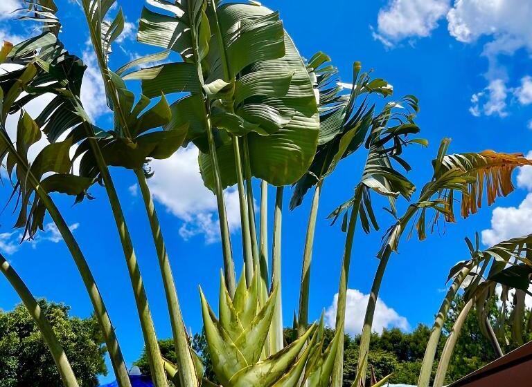 ホテル Cabana Do Rei