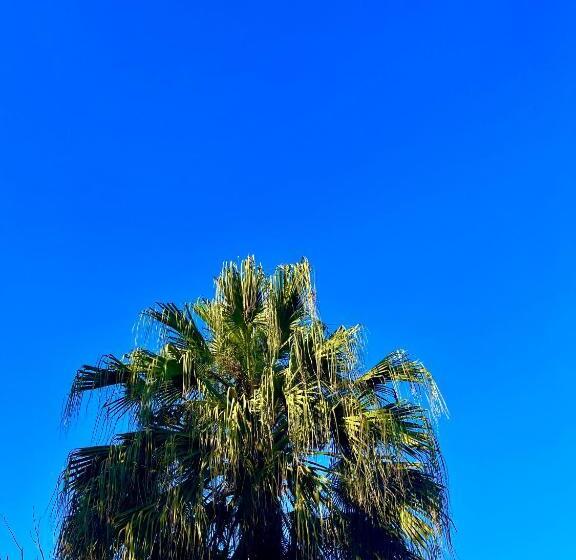 ホテル Cabana Do Rei