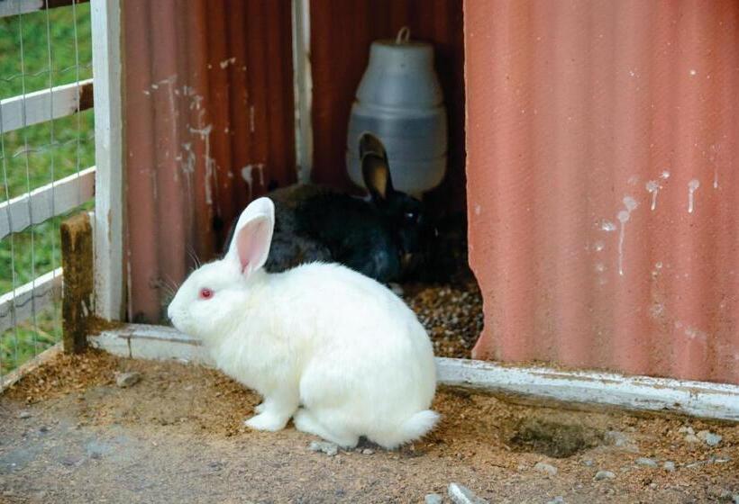 ホテル Cabana Do Rei