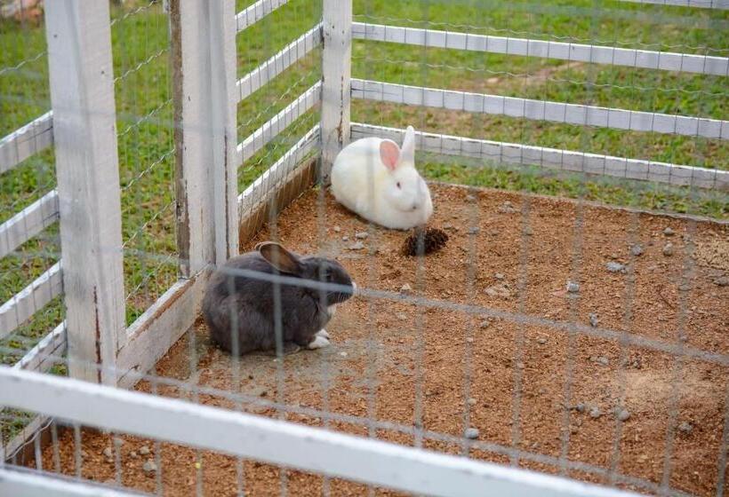 ホテル Cabana Do Rei