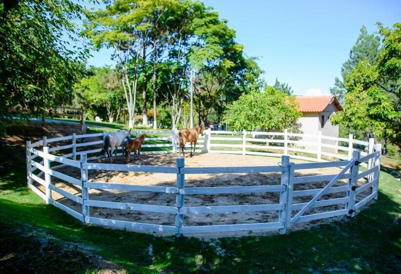 ホテル Cabana Do Rei