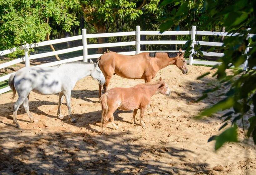 ホテル Cabana Do Rei