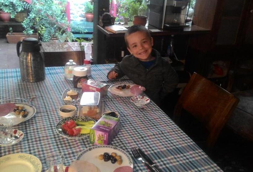 בית מלון כפרי Elaia