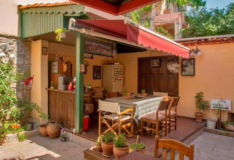 בית מלון כפרי Elaia