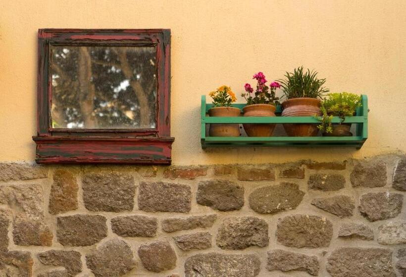 בית מלון כפרי Elaia