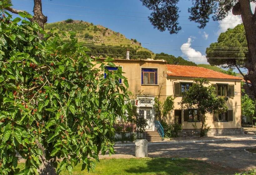 בית מלון כפרי Elaia