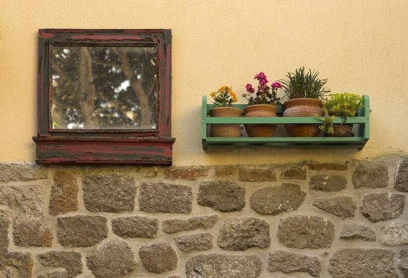 בית מלון כפרי Elaia