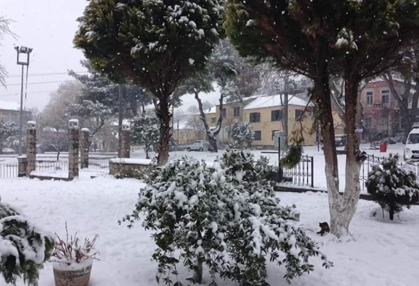 בית מלון כפרי Elaia