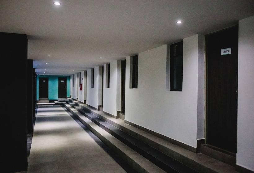 Отель Flamingo Merida