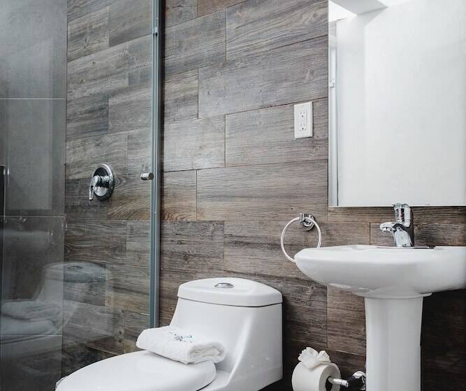 Отель Flamingo Merida