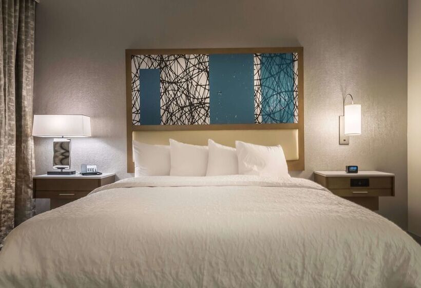 酒店 Hampton Inn & Suites Dallasthe Colony, Tx