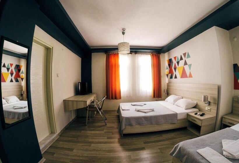 酒店 Limon Pansiyon