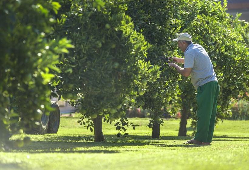 Отель Lonicera Resort & Spa