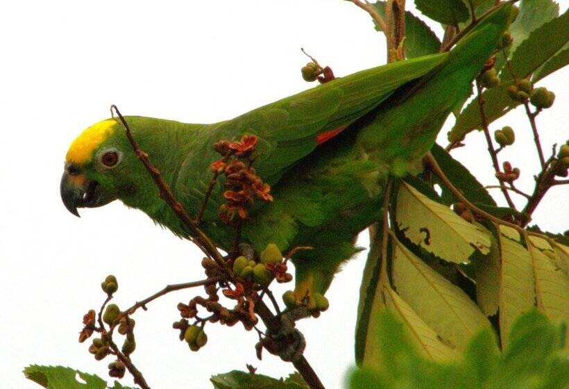 Отель Mastranto