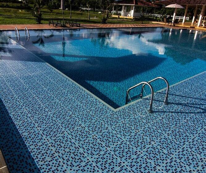 Отель Mastranto